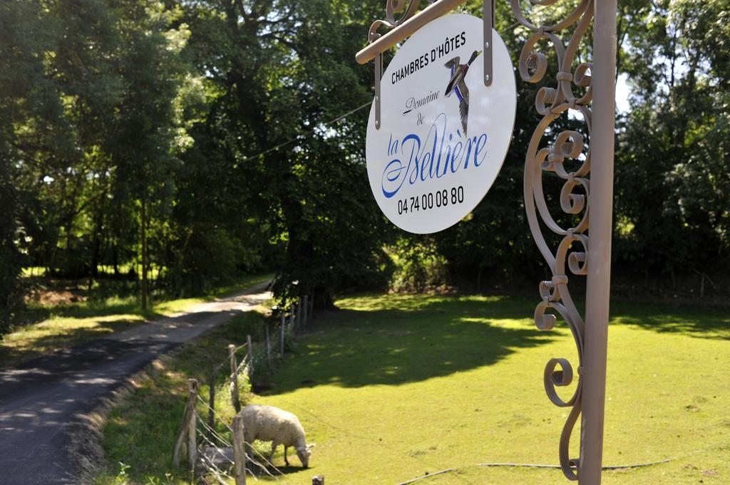 Hotel Domaine De La Belliere Villars-les-Dombes Exteriér fotografie
