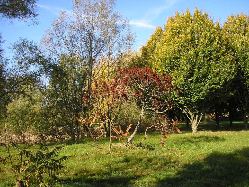 Hotel Domaine De La Belliere Villars-les-Dombes Exteriér fotografie